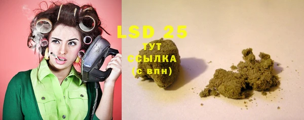 прущие грибы Мегион