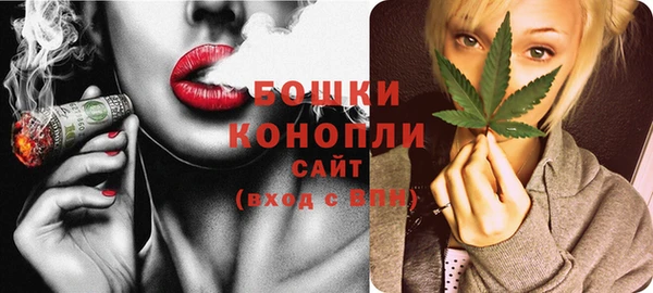 твердый Михайлов