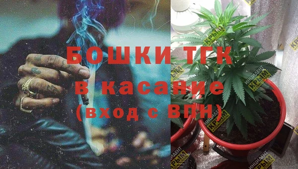твердый Михайлов
