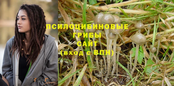 spice Медвежьегорск